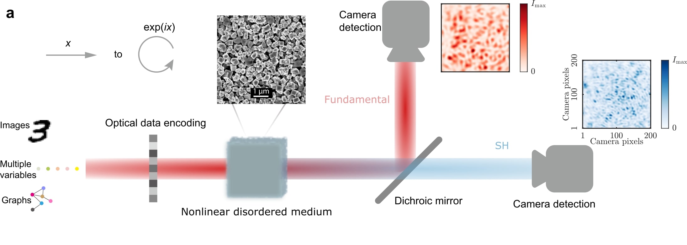 Experimental setup